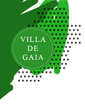 Brasão Villa de Gaia